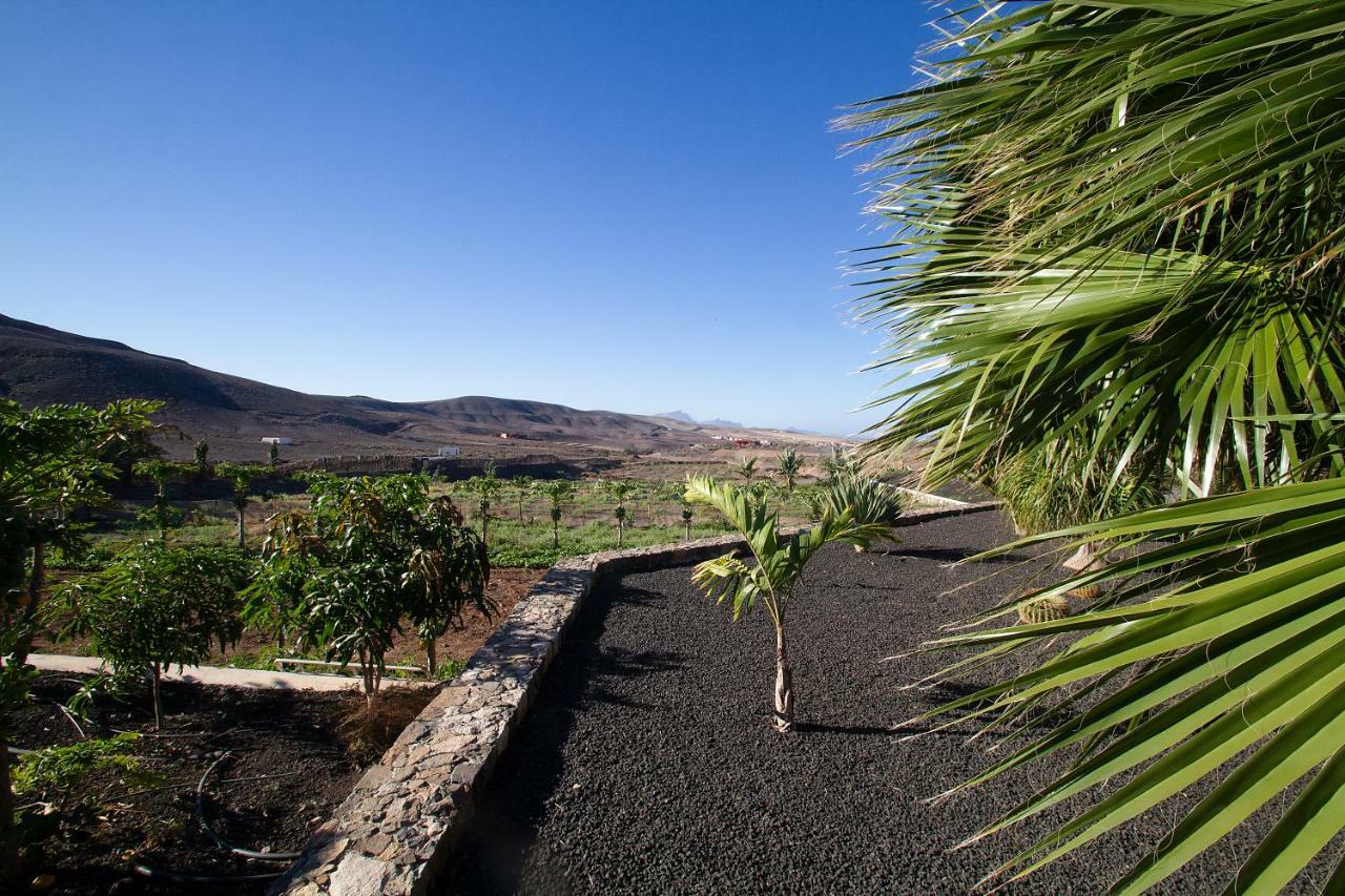 Finca Arbequina Pájara Kültér fotó